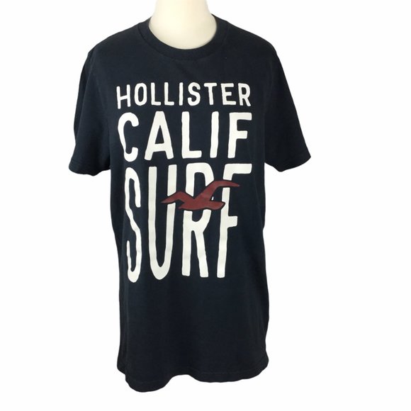 Hollister Tops - Hollister Calif Surf gray T-shirt, size L